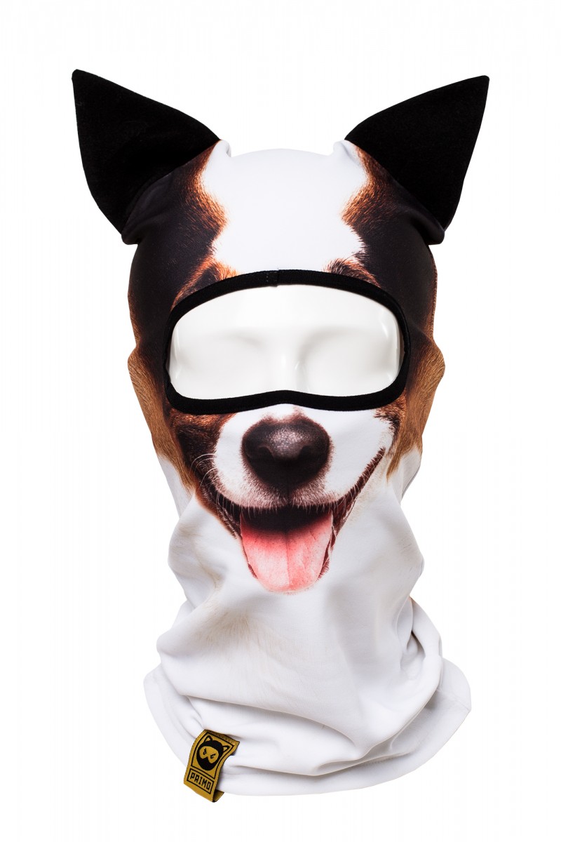 BEAST Jack Rassel